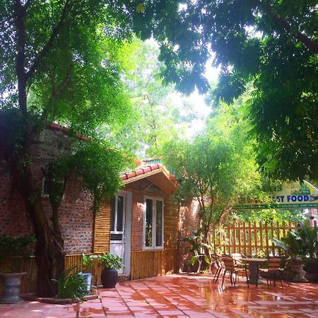 Tam Coc Green Fields Homestay Ninh Binh Zewnętrze zdjęcie