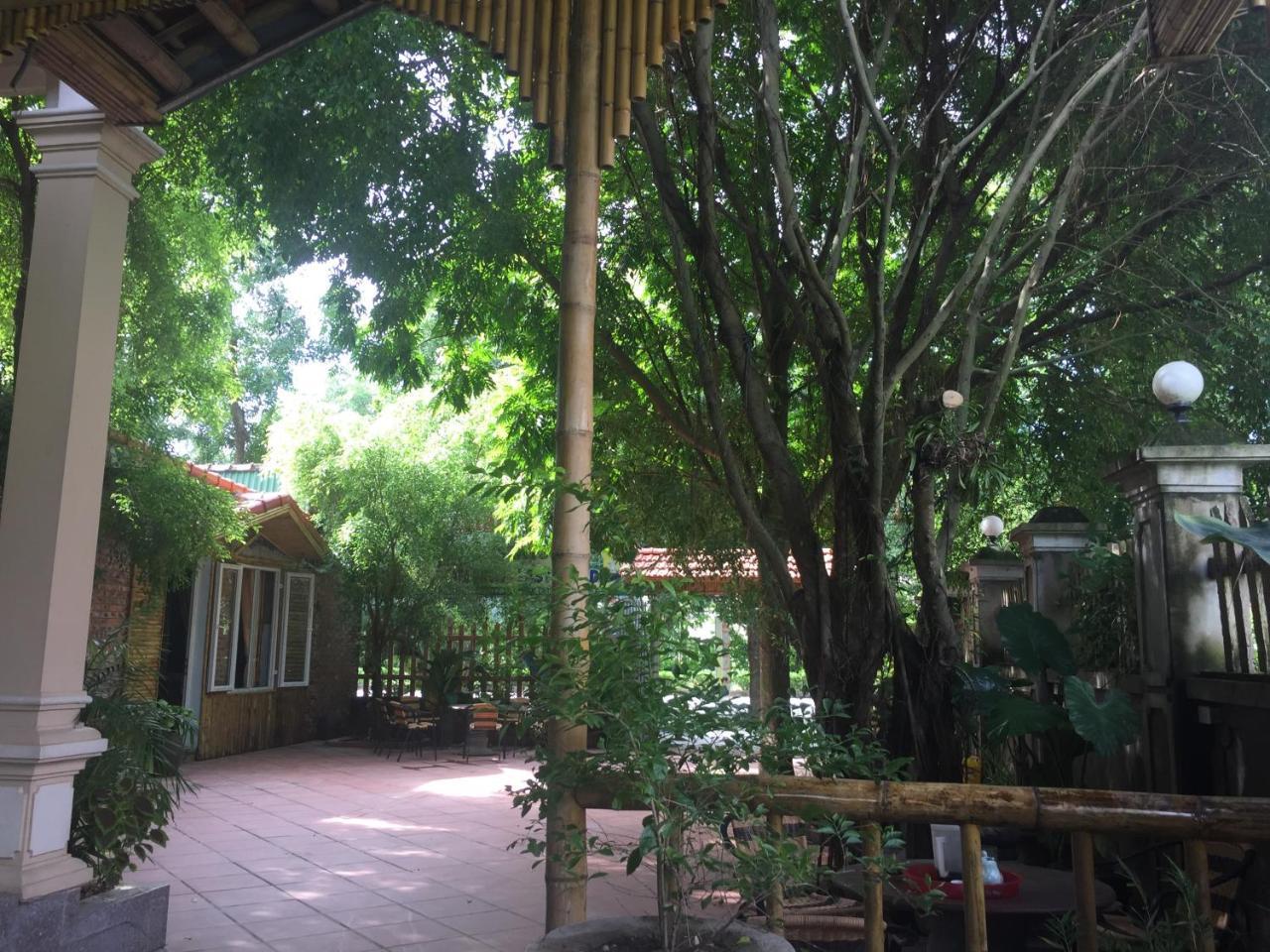 Tam Coc Green Fields Homestay Ninh Binh Zewnętrze zdjęcie