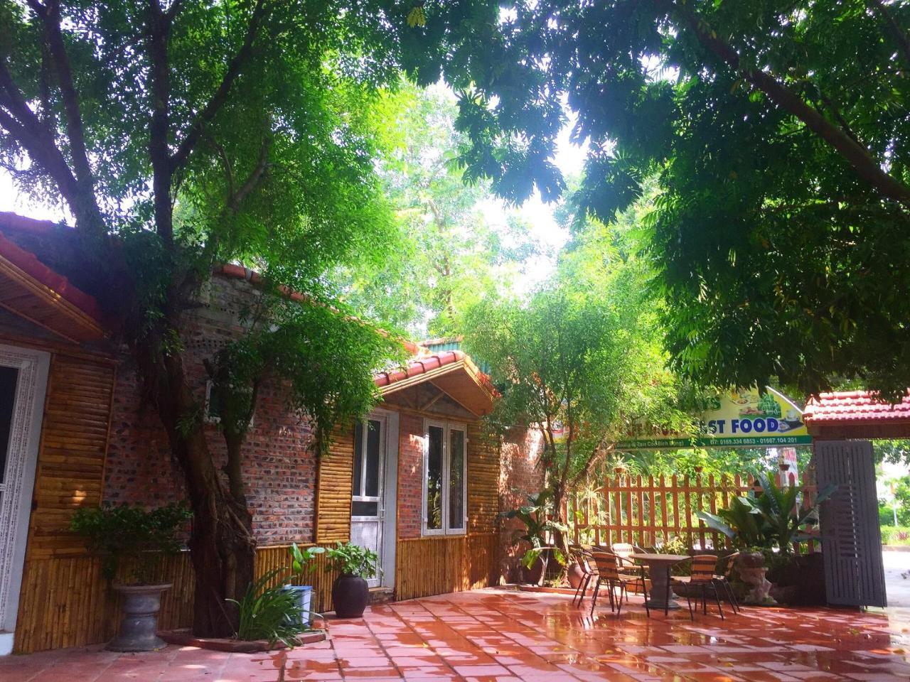 Tam Coc Green Fields Homestay Ninh Binh Zewnętrze zdjęcie